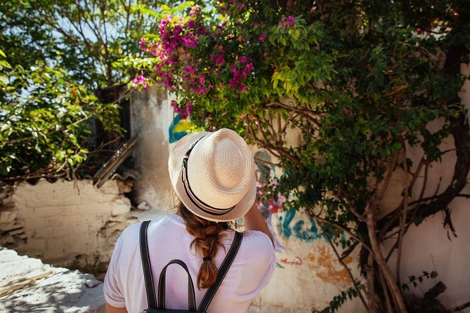 Highlights & Hidden Gems With Locals: Best of Athens Private Tour - Starting at Monastirakiou Square