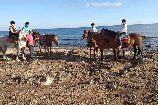 Horse Riding: Explore Secret Thera - Is $72.56 A Fair Price?