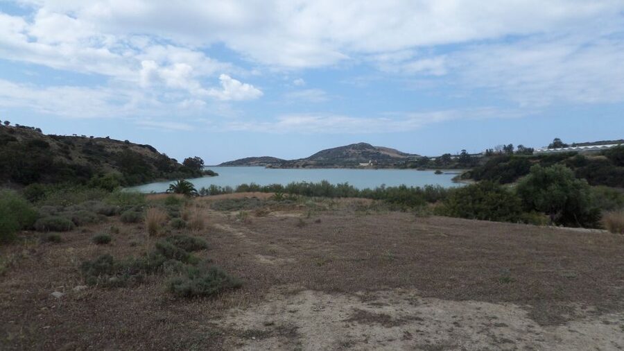 Ierapetra: Quad ATV 4x4 Exceptional Day in South Crete 2025 - Forest tracks, plants, and views of the Libyan Sea