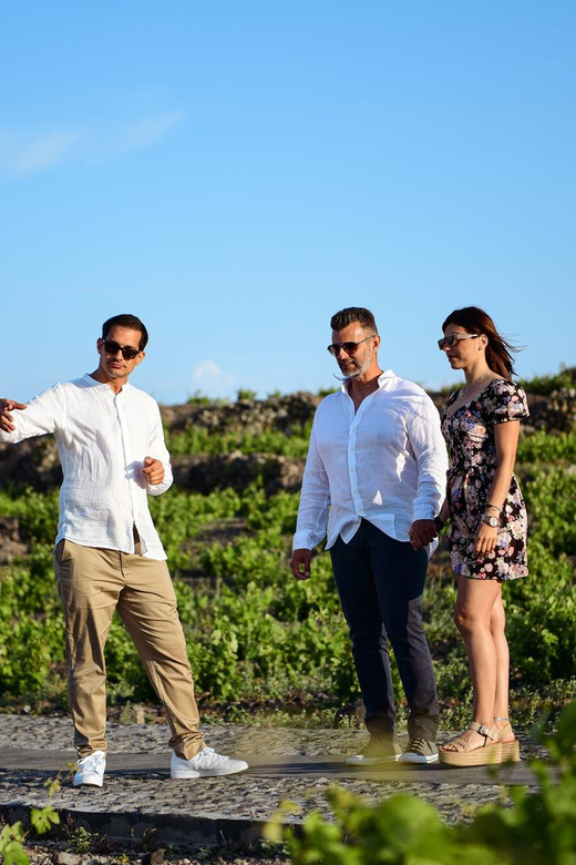 Imerovigli: Premium Wine Tasting with Caldera and Sea Views - Who will enjoy this experience most?