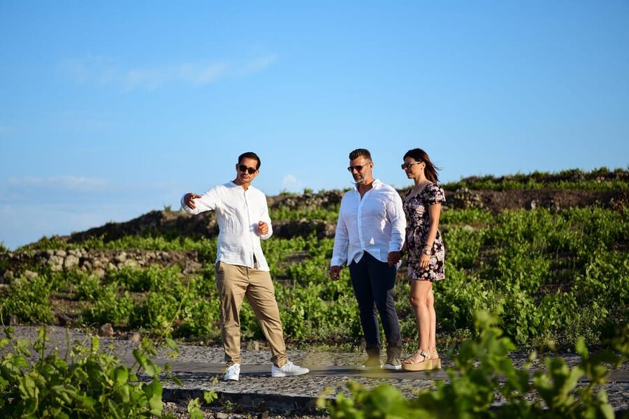 Imerovigli: Premium Wine Tasting with Caldera and Sea Views - Practical advice before you book