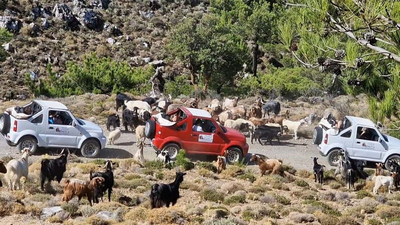 Jeep Driving Tour to Thripti Mountains and typical villages - Five things to know before you book