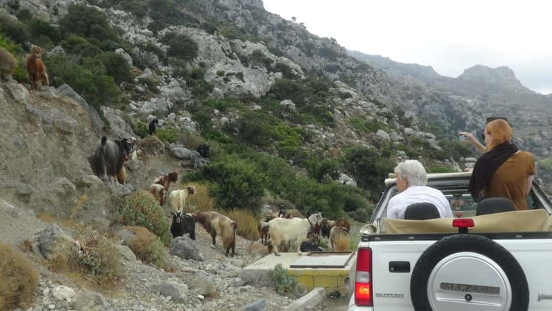 Jeep Driving Tour to Thripti Mountains and typical villages - Starting near Ierapetra and getting the safety briefing