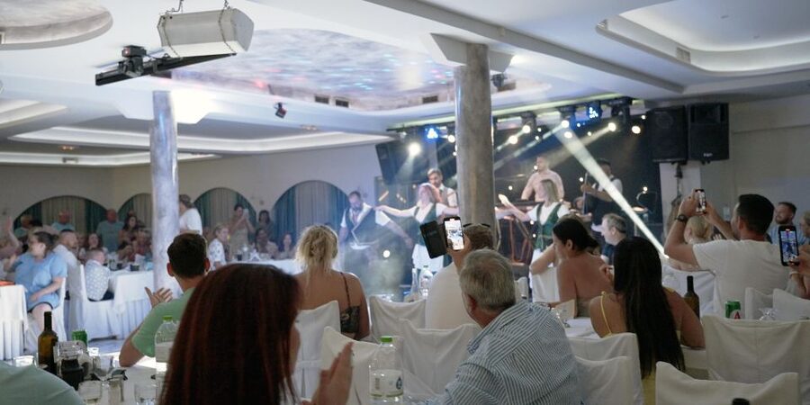 Kamari: Greek Show, Buffet Dinner, and Drinks at Dimitris - Plate smashing and the Greek party tradition