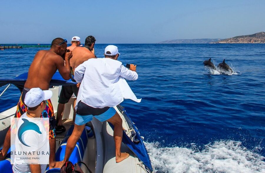 Kamiros Skala : Marine Life Experience & Alimia Island - Alimia Island gives the day its quiet center