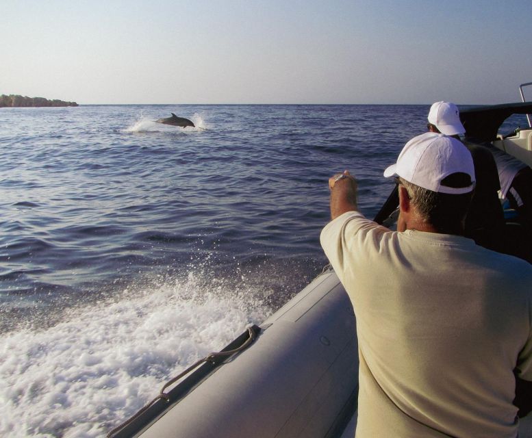 Kamiros Skala : Marine Life Experience & Alimia Island - A generous fish BBQ by the sea