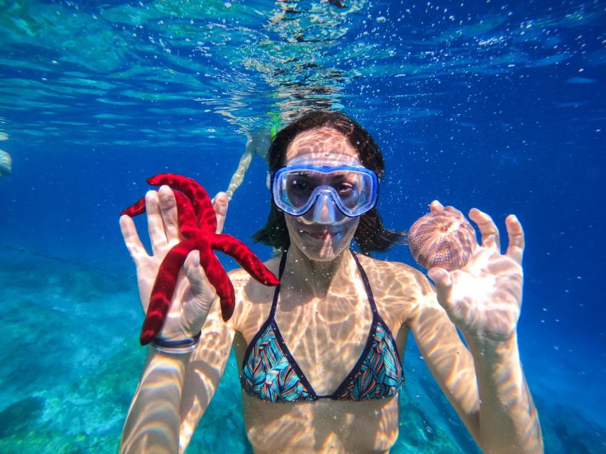 Kamiros Skala : Marine Life Experience & Alimia Island - What the boat day feels like in practice