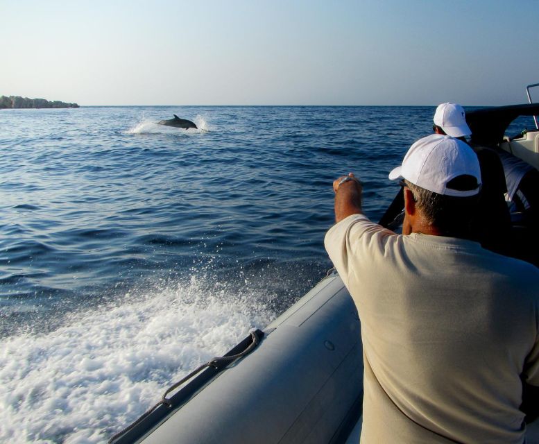 Kamiros Skala: Marine Life Experience by Boat - Key points at a glance
