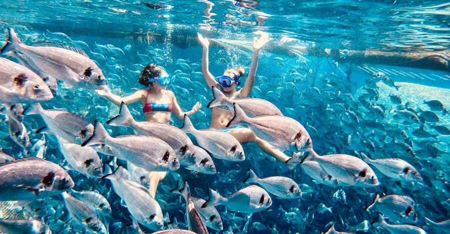 Kamiros Skala: Marine Life Experience by Boat - Snacks, photos, and the practical comforts