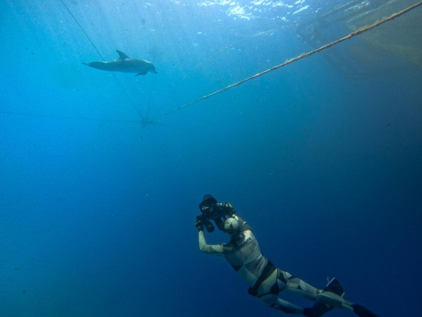 Kamiros Skala: Marine Life Experience by Boat - Who will enjoy this most