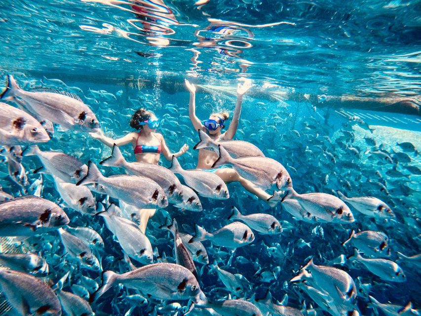 Kamiros Skala: Marine Life Experience by Boat - From Kamiros Skala toward Makri Islet