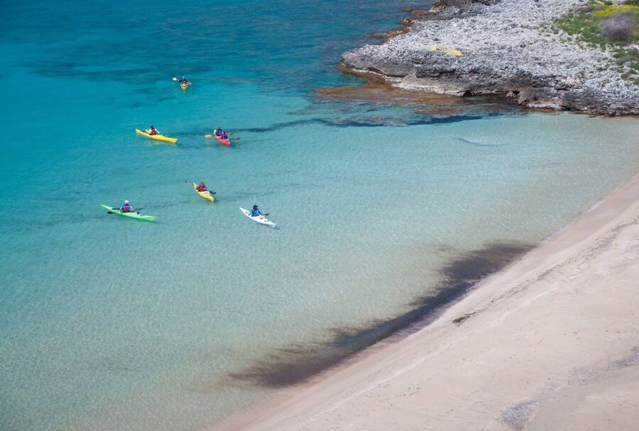 Kardamyli: Sea Kayaking With Lunch - What the $94 price gets you