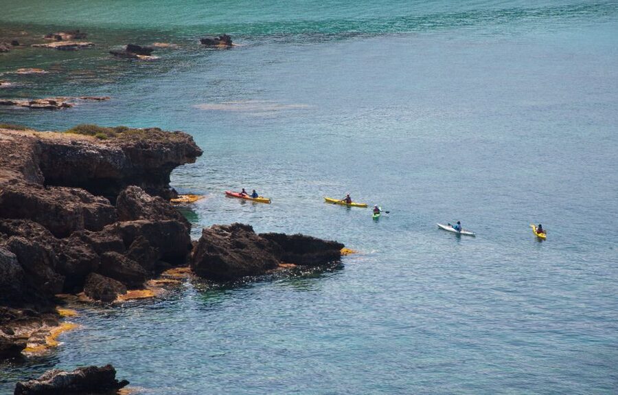 Kardamyli: Sea Kayaking With Lunch - Is this suitable for beginners and families?