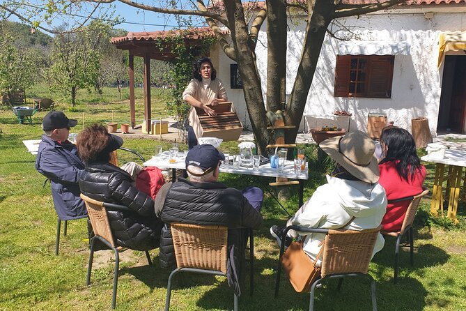 Katakolon Small Group Tour: Olympic site, Honey/Olive Oil Tasting - Olive oil, olives, wine, and a market stop