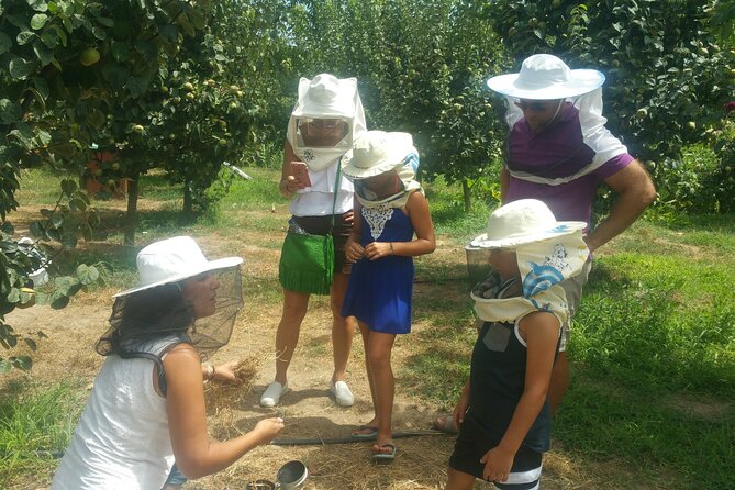 Katakolon Small Group Tour: Olympic site, Honey/Olive Oil Tasting - Small details that improve the day