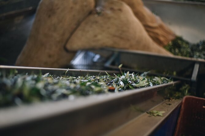 Kleanthi Olive Farm: Guided Tour with Local Delicacies Tasting - Inside the Olive Mill