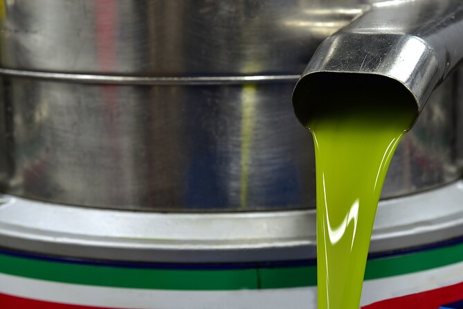 Kleanthi Olive Farm: Guided Tour with Local Delicacies Tasting - The Family Welcome Makes a Difference