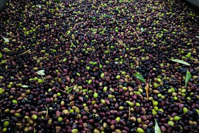 Kleanthi Olive Farm: Guided Tour with Local Delicacies Tasting - The Best Time to Visit