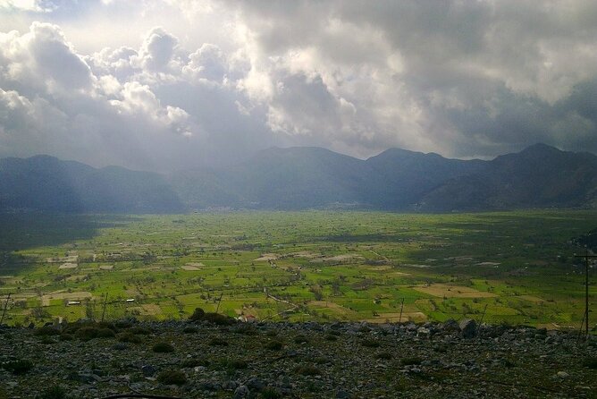 Knossos & Lasithi Plateau: Zeus Cave,Villages, Olive Oil Tour - Omalia Olive Press and the taste of Cretan oil
