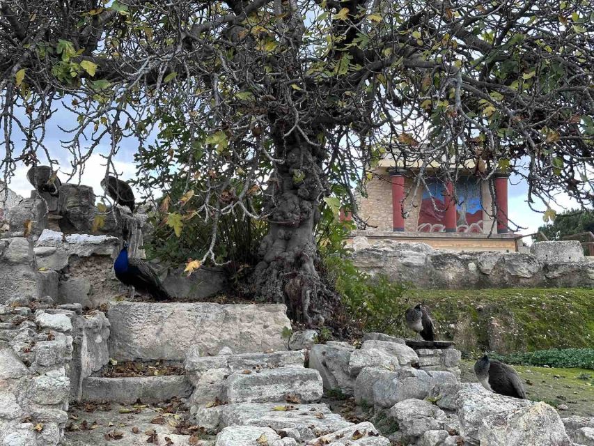 Knossos Palace Skip-the-Line Ticket & Private Guided Tour - Is $247 good value for two people?