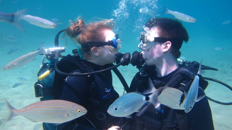 Kos: Beginner Scuba Diving at Pserimos Island - Who Will Enjoy This Most