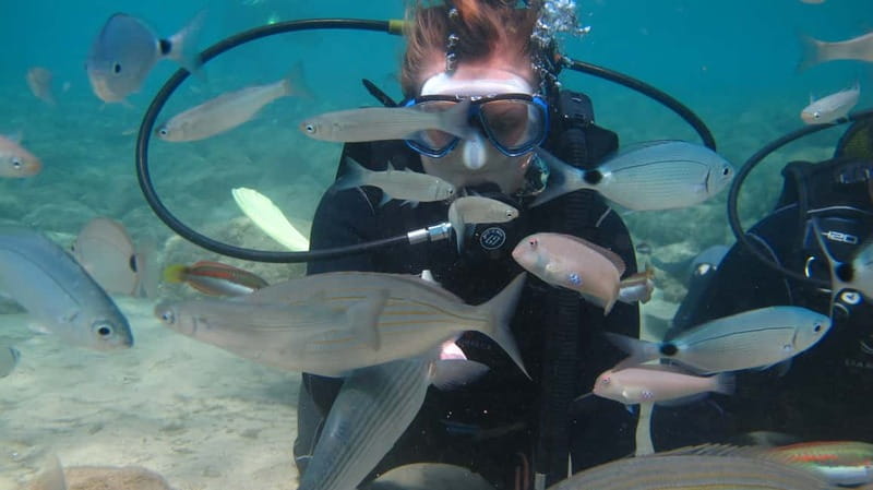 Kos: Beginner Scuba Diving at Pserimos Island - Small Groups Make the First Session Less Intimidating