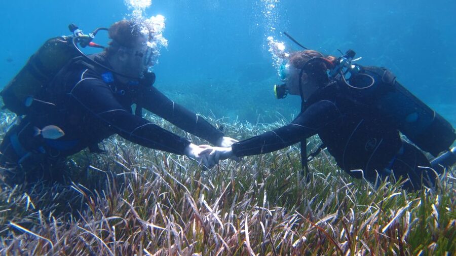Kos: Beginner Scuba Diving at Pserimos Island - The Second Session Costs 45 Euros Extra
