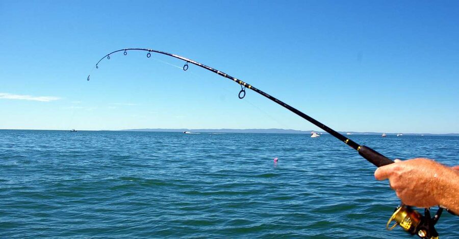 Kos: Fishing Trip Experience with a Greek Fisherman's Family - At a glance: what makes this trip special