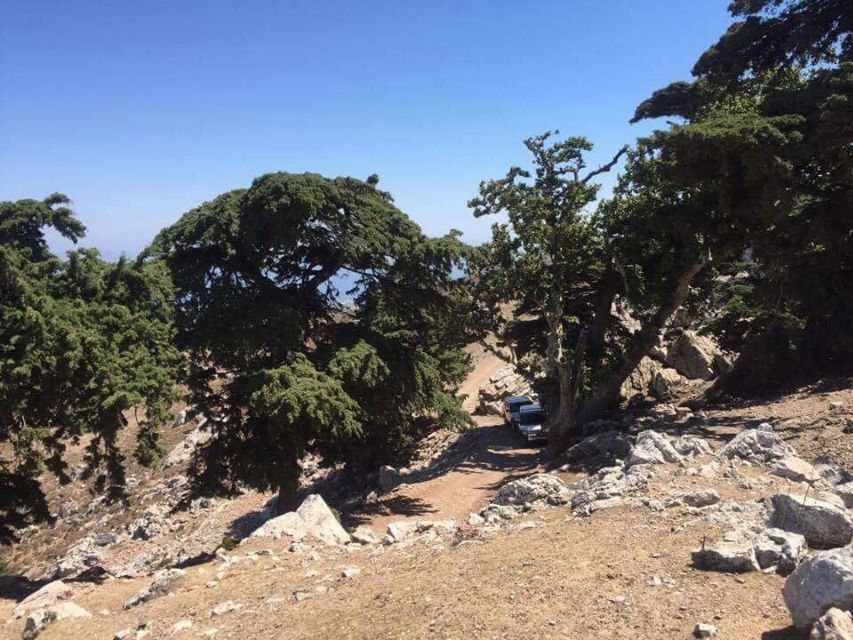 Kos: Full-Day Jeep Safari with Lunch - Why this Jeep safari is a good way to see Kos