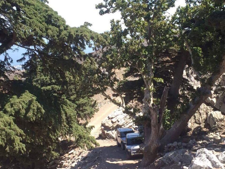 Kos: Full-Day Jeep Safari with Lunch - Turtle Lake and Kos’s quieter countryside