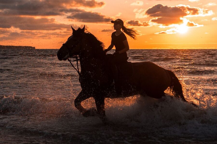 Kos: Horse Riding Experience on the Beach with Instructor - From your hotel to the stables near Tigaki