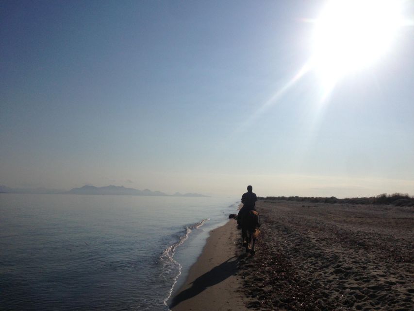Kos: Horse Riding Experience on the Beach with Instructor - Reaching Tigaki beach and the water’s edge
