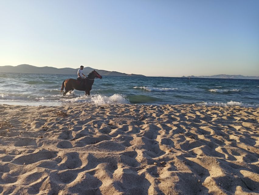 Kos: Horse Riding Experience on the Beach with Instructor - What the $88 price really buys you