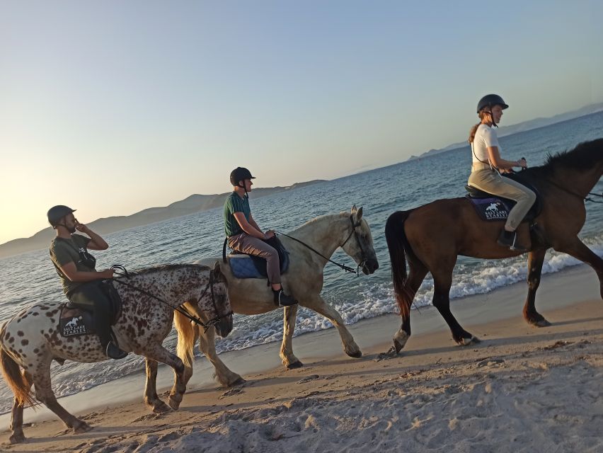 Kos: Horse Riding Experience on the Beach with Instructor - Practical advice before you book