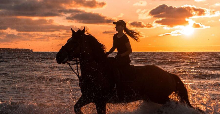 Kos: Horse Riding Experience on the Beach with Instructor - The first lesson: calm horses and clear instructions