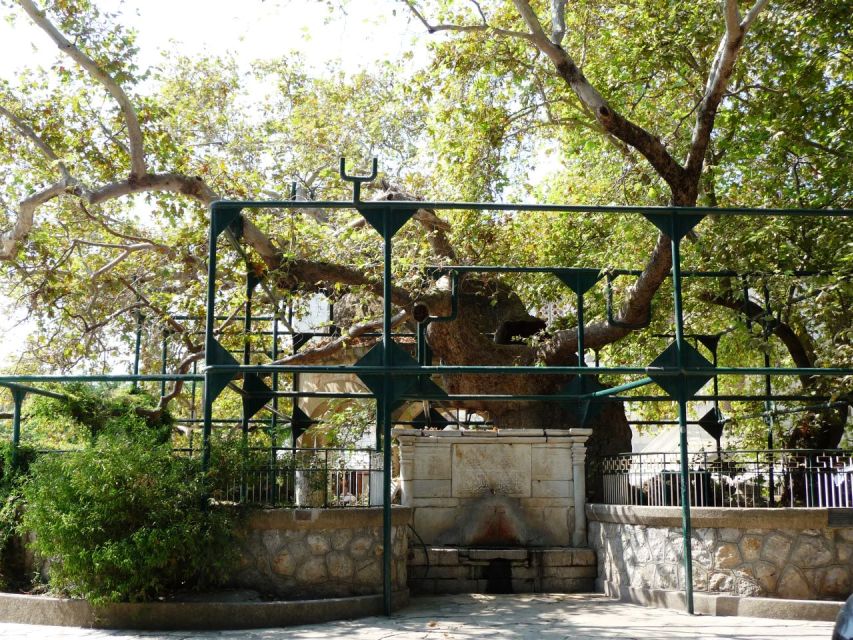 Kos: Island Highlights Bus Tour with Greek Honey Tasting - Who will enjoy this $53 island tour