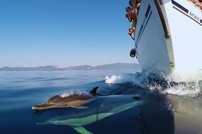 Kos: Small Group Full-Day Sailing with Meal, Drinks, & Swim - Why the 14-person limit matters