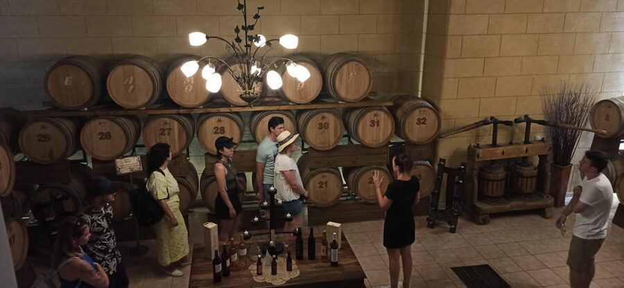 Kos: Wineries Tour w/ Wine Tastings & Transportation - Views, vineyards, and the feel of the visit