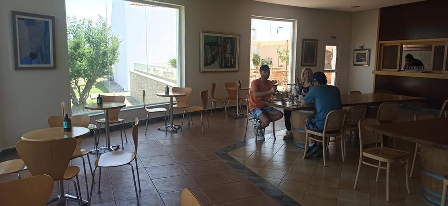 Kos: Wineries Tour w/ Wine Tastings & Transportation - Transport, timing, and communication