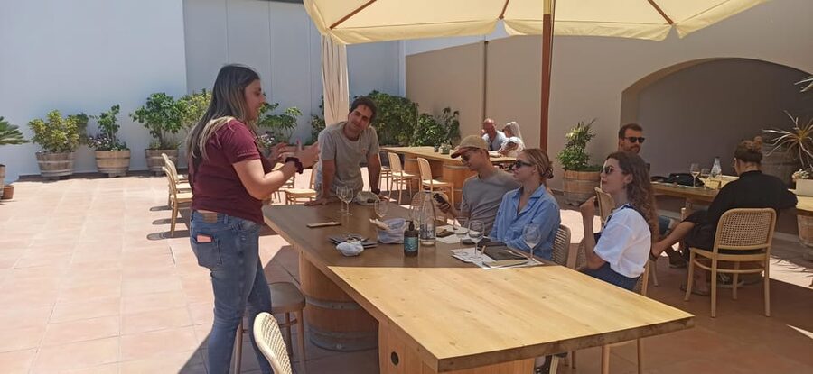 Kos: Wineries Tour w/ Wine Tastings & Transportation - Who will enjoy this Kos wine tour?
