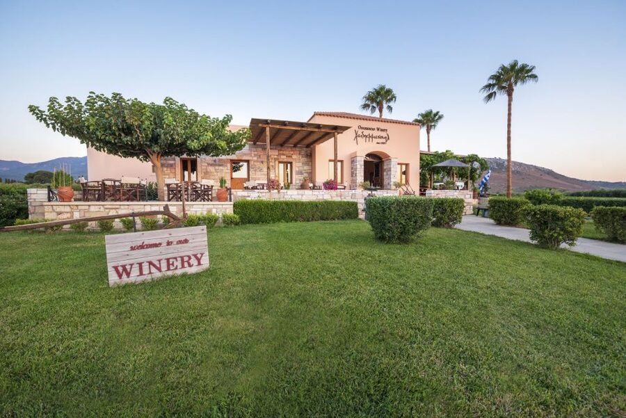 Kos: Wineries Tour w/ Wine Tastings & Transportation - Practical tips for a better afternoon