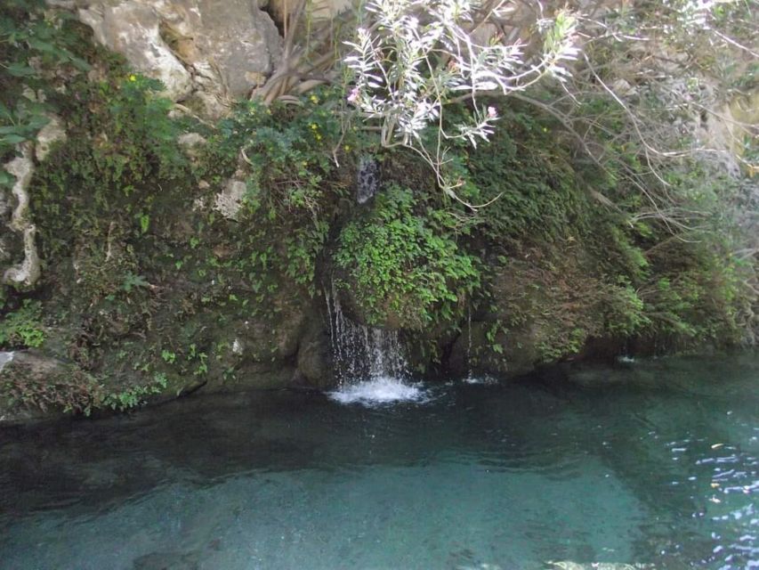 Kourtaliotiko Gorge River Trek with Lunch! Pick-up Avaliable - Group size, transfers, and timing
