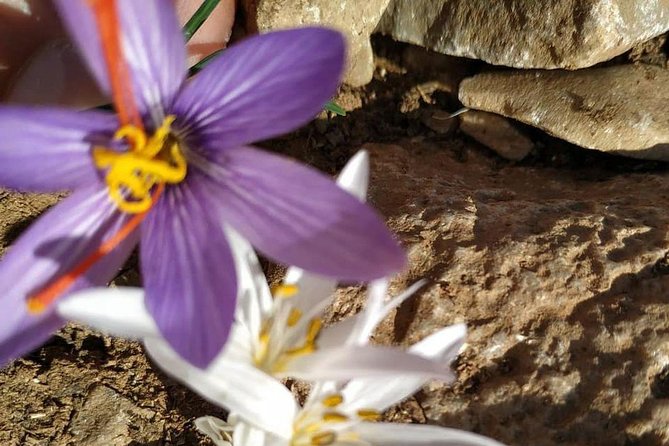 Lasithi –Plateau Traditional Vilages - Why this Crete mountain trip is worth your time