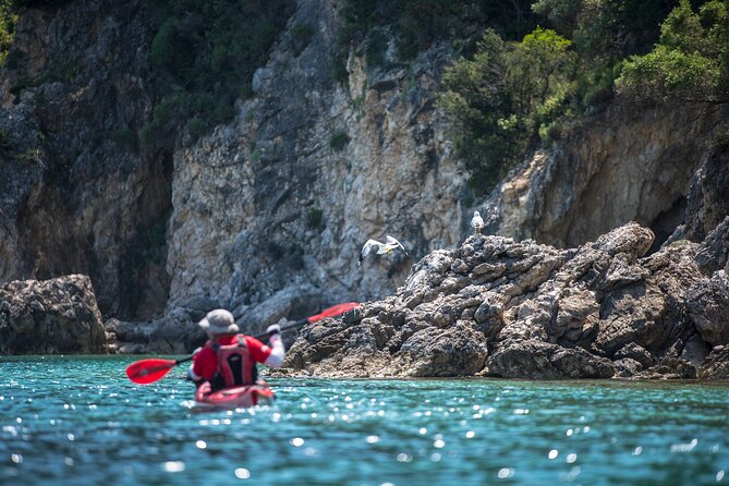 Lefkada Kayak : Explore Blue Cave with a Taste of Greece - Guides, Safety, and Group Size