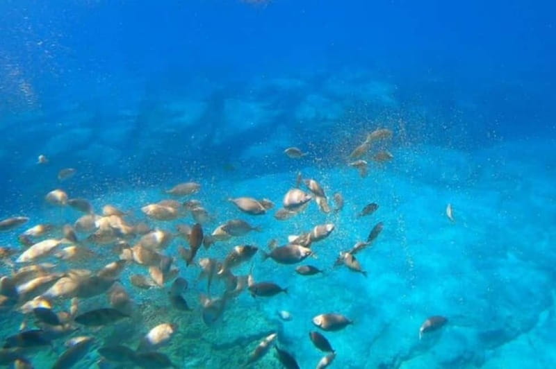 Lindos: Submarine Cruise with Swimming Stop at Navarone Bay - Key points before you book