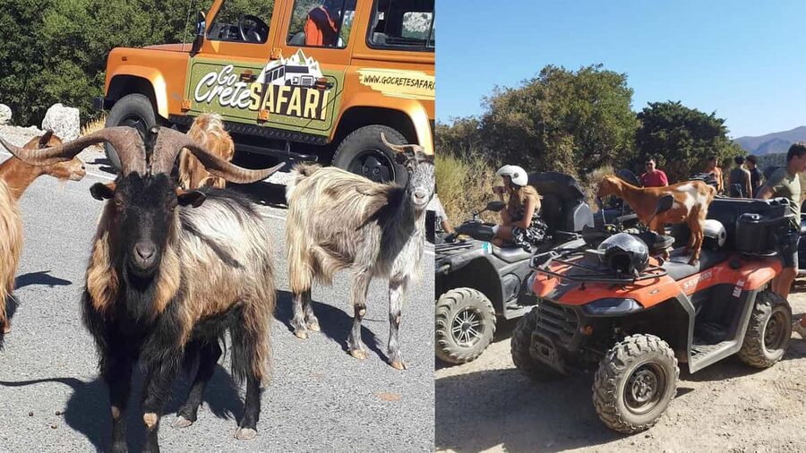 Malia: Off-Road Quad Safari Tour with Lunch and Transfers - What this Crete quad safari is really like