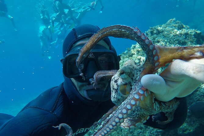 Milos: Half-Day Speedboat Cruise to Kleftiko with snorkeling tour - Kalogries feels like a natural swimming pool