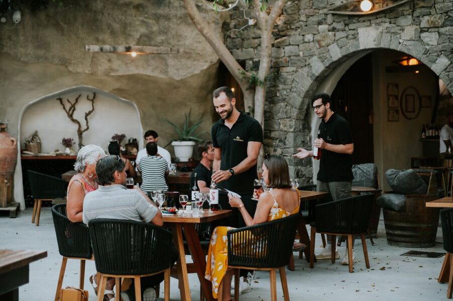 Milos Island: Kostantakis Winery Wine Tasting Experience - The 40-minute tour: vines, machines, and island winemaking