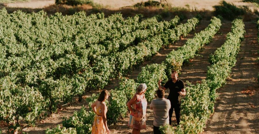 Milos Island: Kostantakis Winery Wine Tasting Experience - What the $68 price really buys you