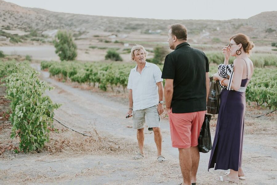 Milos Island: Kostantakis Winery Wine Tasting Experience - Who should book this tasting?